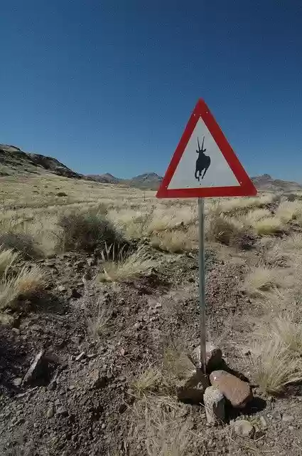 Bezpłatne pobieranie Namibia Oryx Africa - bezpłatne zdjęcie lub obraz do edycji za pomocą internetowego edytora obrazów GIMP