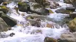 Free download Nature Calm Water free video to be edited with OpenShot online video editor