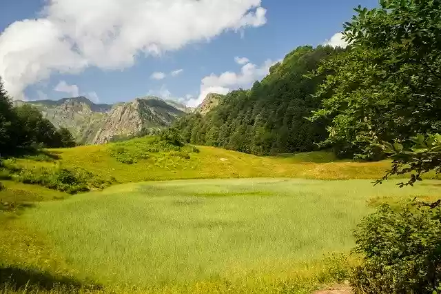 Bezpłatne pobieranie Nature Sky Meadow - bezpłatne zdjęcie lub obraz do edycji za pomocą internetowego edytora obrazów GIMP