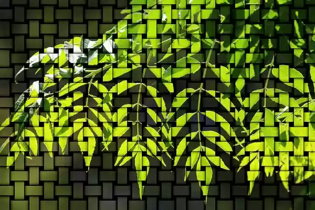 免费下载 Pattern Green Backlighting - 使用 GIMP 在线图像编辑器编辑的免费插图