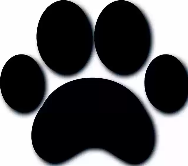 Free download Paw Dog Texture -  free illustration to be edited with GIMP free online image editor