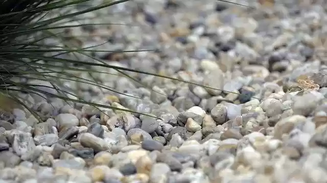 免费下载 Pebbles Grass Nature - 可使用 GIMP 在线图像编辑器编辑的免费照片或图片