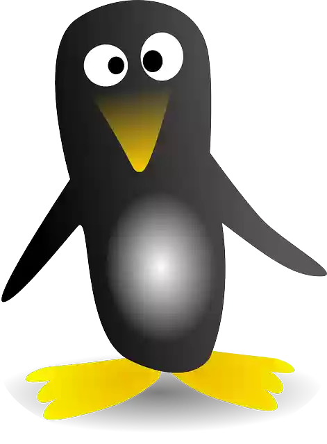 Free download Penguin Black Yellow - Free vector graphic on Pixabay free illustration to be edited with GIMP free online image editor