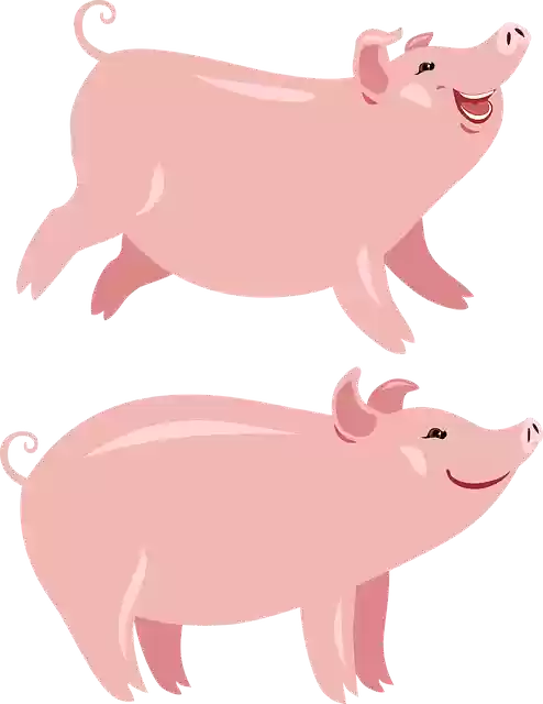 Free download Pigs Pig The Year OfFree vector graphic on Pixabay free illustration to be edited with GIMP online image editor