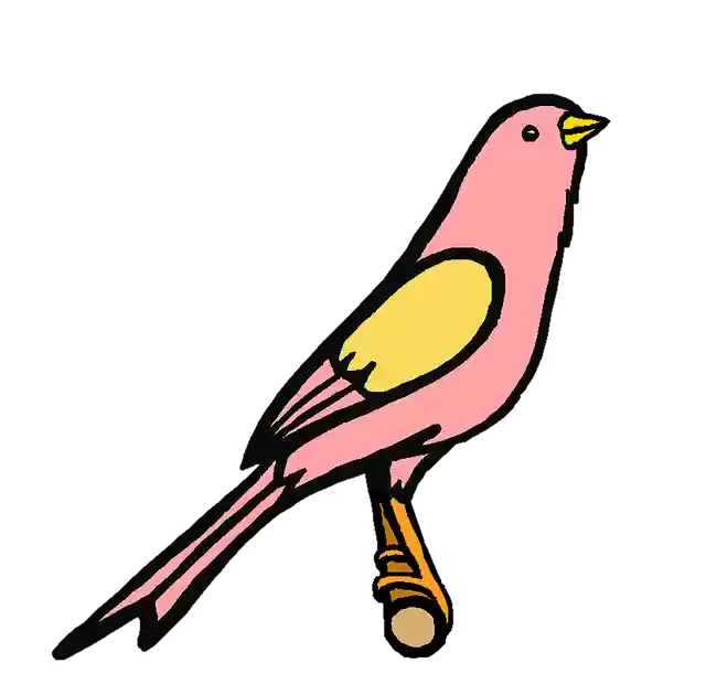 Free download Pink Bird Cute -  free illustration to be edited with GIMP free online image editor