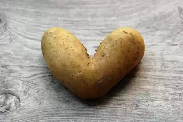 Free download Potato Heart Love free photo template to be edited with GIMP online image editor