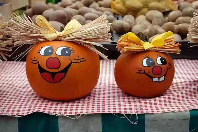 دانلود رایگان Pumpkin Painted Autumn - عکس یا تصویر رایگان قابل ویرایش با ویرایشگر تصویر آنلاین GIMP