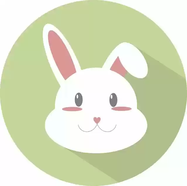 دانلود رایگان تصویر رایگان Rabbit Icon Animal برای ویرایش با ویرایشگر تصویر آنلاین GIMP