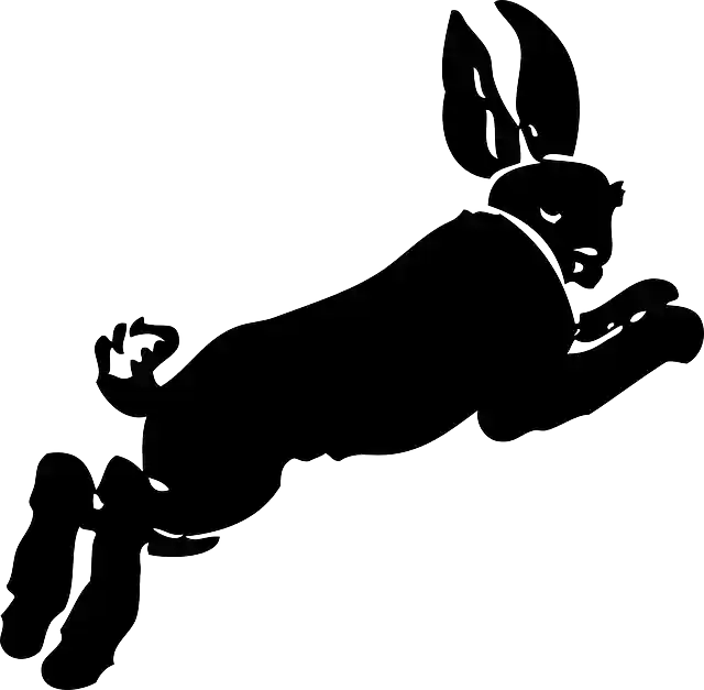 Free download Rabbit Jumping Moving - Free vector graphic on Pixabay free illustration to be edited with GIMP free online image editor