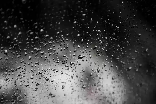 Kostenloser Download Rain Drops Glass - kostenloses Foto oder Bild zur Bearbeitung mit GIMP Online-Bildbearbeitung