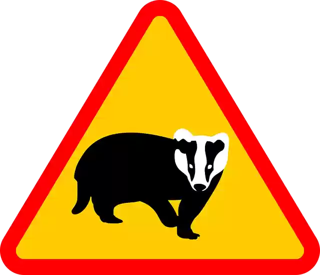 Free download Road Sign Note Badger - Free vector graphic on Pixabay free illustration to be edited with GIMP free online image editor