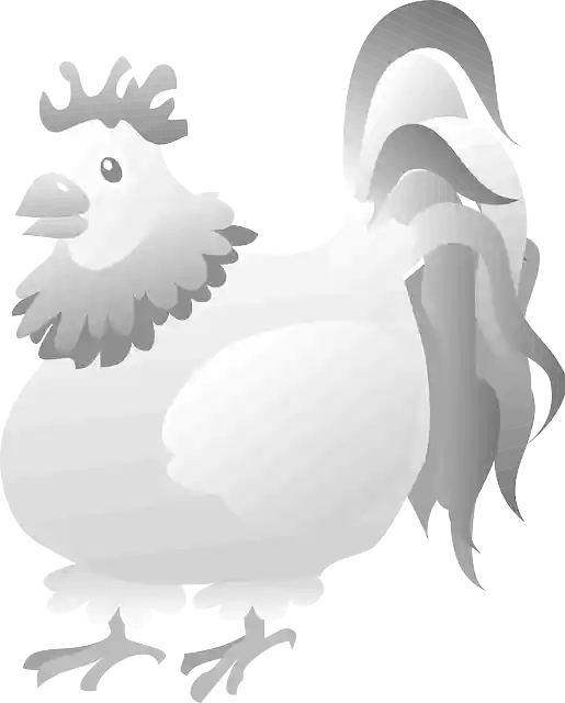 Free download Rooster Bird Grey - Free vector graphic on Pixabay free illustration to be edited with GIMP free online image editor