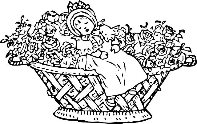 Free download Rose Basket Cradle - Free vector graphic on Pixabay free illustration to be edited with GIMP free online image editor