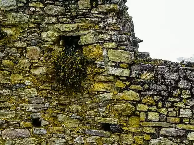 Безкоштовно завантажте Ruin Wall Stone - безкоштовну фотографію або зображення для редагування за допомогою онлайн-редактора зображень GIMP