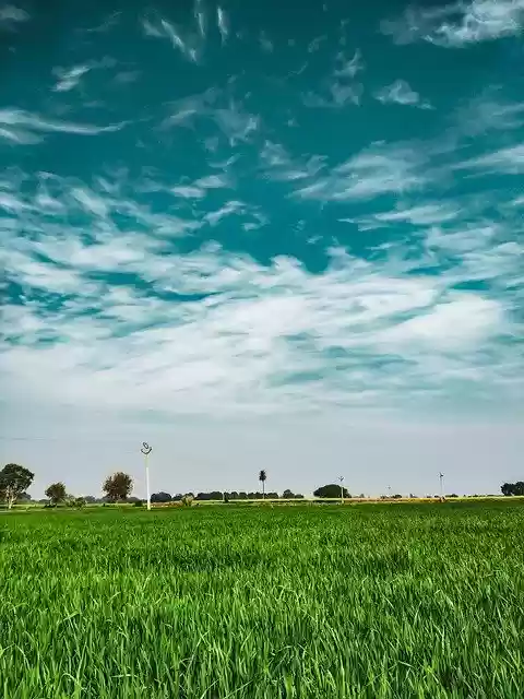 Clouds: Trong những ngày nắng ấm, cùng ngắm nhìn những đám mây trôi qua. Những đám mây có thể tạo nên những hình ảnh độc đáo và lãng mạng, và sẽ được ghi lại bằng những bức ảnh đẹp để lưu giữ.