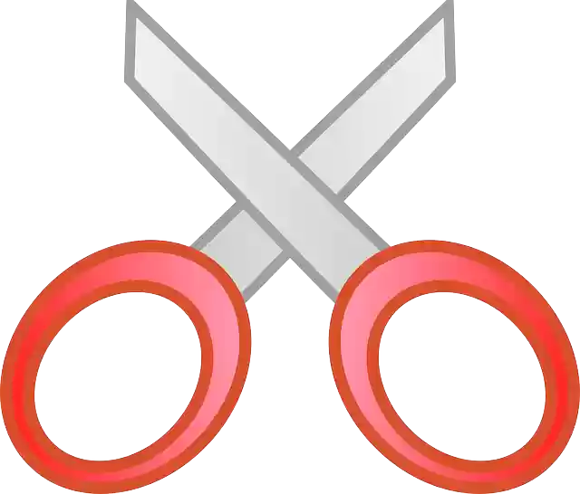 Free download Scissors Cut Cutting - Free vector graphic on Pixabay free illustration to be edited with GIMP free online image editor