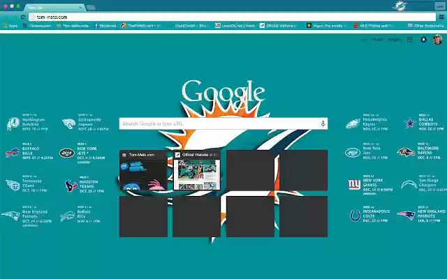 2015 Miami Dolphins White  from Chrome web store to be run with OffiDocs Chromium online