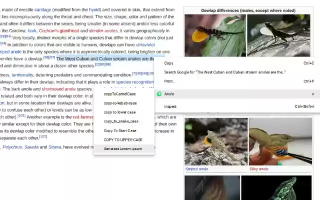 Anole ຈາກ Chrome web store ທີ່ຈະດໍາເນີນການກັບ OffiDocs Chromium ອອນໄລນ໌