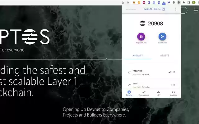 Aptos Wallet Unofficial Demo from Chrome web store to be run with OffiDocs Chromium online Aptos Wallet Unofficial Demo from Chrome web store to be run with OffiDocs Chromium online
