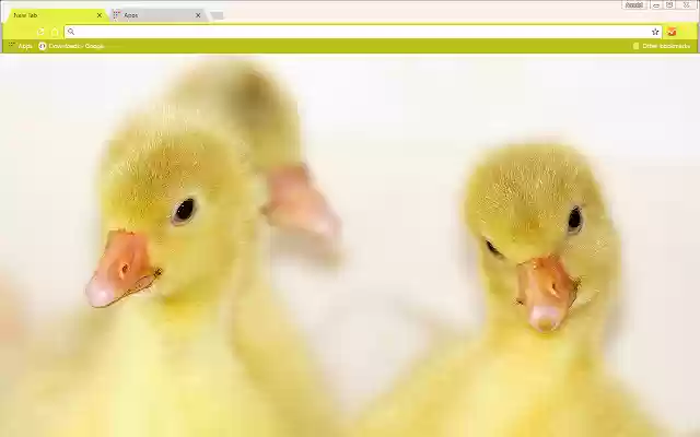 Baby Ducks  from Chrome web store to be run with OffiDocs Chromium online