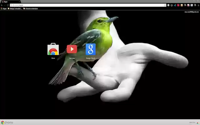 Beautiful Bird On A Hand  from Chrome web store to be run with OffiDocs Chromium online