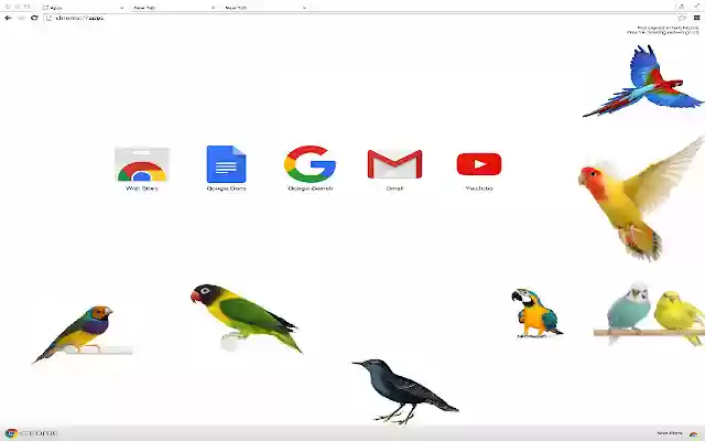 Beautiful Birds Parrots Theme  from Chrome web store to be run with OffiDocs Chromium online