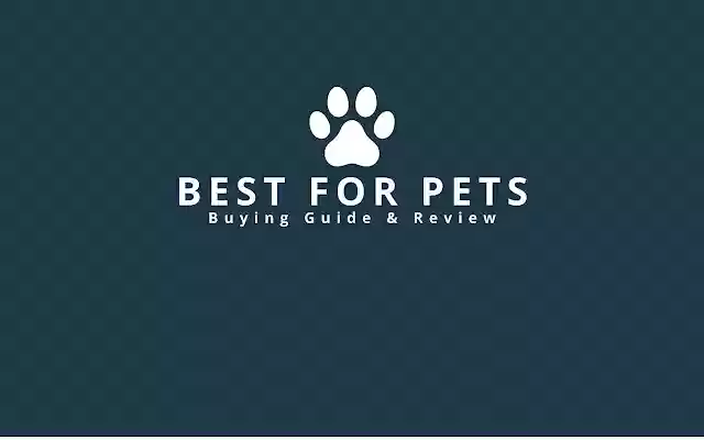 BestForPets de la tienda web de Chrome se ejecutará con OffiDocs Chromium en línea