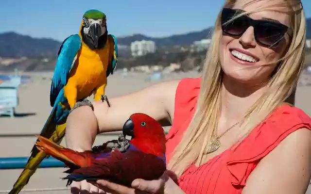 Bird Food and Parrot Food Experts from Chrome web store to be run with OffiDocs Chromium online Bird Food and Parrot Food Experts from Chrome web store to be run with OffiDocs Chromium online