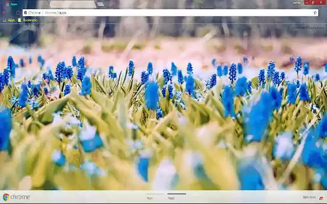 Blue Flower Colorful Spring daripada kedai web Chrome untuk dijalankan dengan OffiDocs Chromium dalam talian