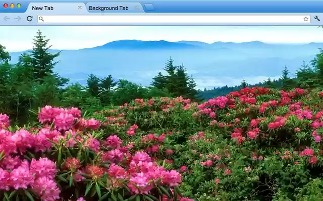 Blue Ridge Mountains, N.C.  from Chrome web store to be run with OffiDocs Chromium online