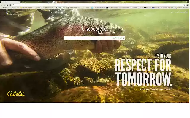 Cabelas_Chrome_Theme  from Chrome web store to be run with OffiDocs Chromium online