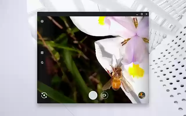 camera from Chrome web store to be run with OffiDocs Chromium online camera from Chrome web store to be run with OffiDocs Chromium online