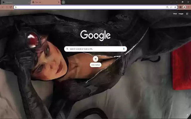 Catwoman Browser Theme  from Chrome web store to be run with OffiDocs Chromium online