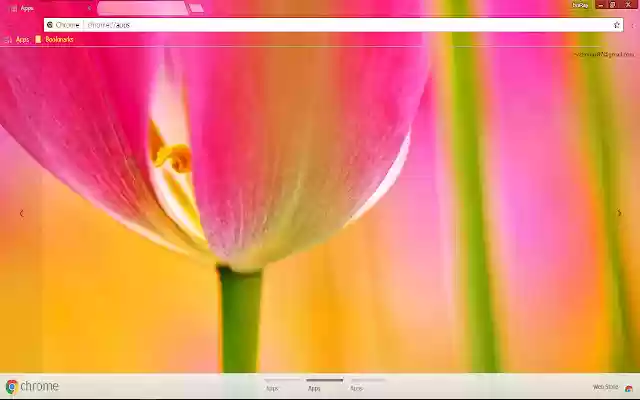 Chrome 网上商店的 Colorful Flower Petal Pink 将与 OffiDocs Chromium 在线一起运行