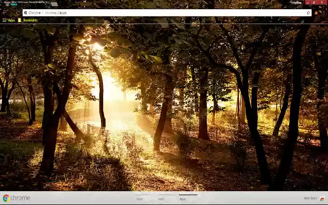 Country Earth Forest Photography aus dem Chrome-Webshop, der mit OffiDocs Chromium online ausgeführt werden soll