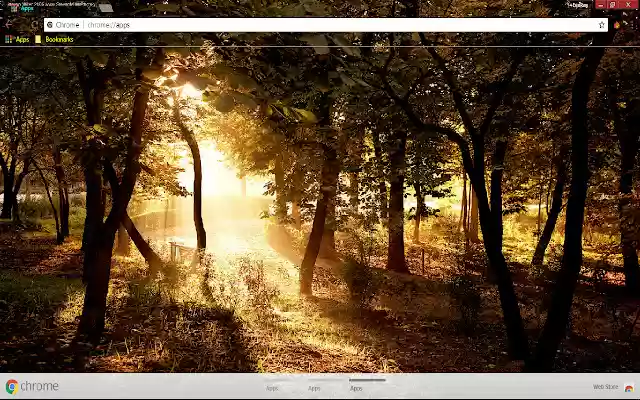 Country Earth Forest Photography  from Chrome web store to be run with OffiDocs Chromium online