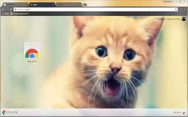 Cute Cat Smiling Pet Animal  from Chrome web store to be run with OffiDocs Chromium online