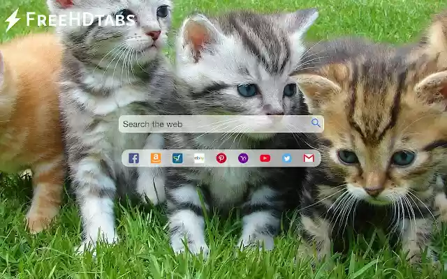 Cute Kittens  from Chrome web store to be run with OffiDocs Chromium online