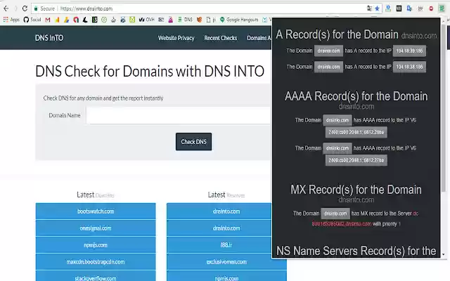 DNS Into  from Chrome web store to be run with OffiDocs Chromium online