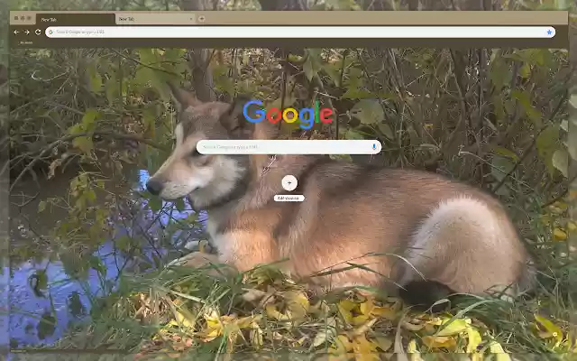 Chien dans l'herbe de la boutique en ligne Chrome à exécuter avec OffiDocs Chromium en ligne