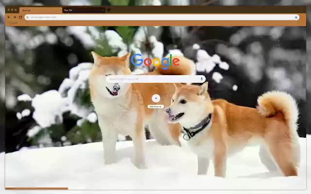 Dogs in the snow  from Chrome web store to be run with OffiDocs Chromium online