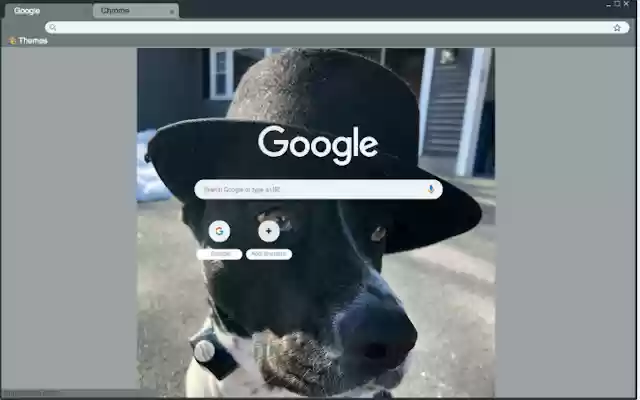 Dog with a Fedora  from Chrome web store to be run with OffiDocs Chromium online