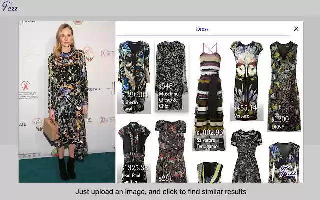 Find that Dress! (Native)  from Chrome web store to be run with OffiDocs Chromium online