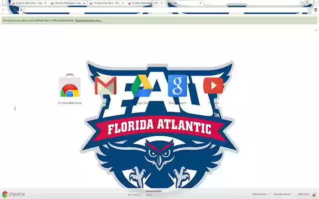 Florida Atlantic University Owl Theme  from Chrome web store to be run with OffiDocs Chromium online