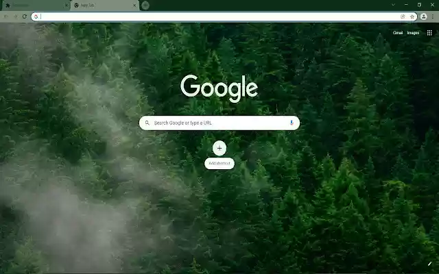 Forest Aerial View  from Chrome web store to be run with OffiDocs Chromium online