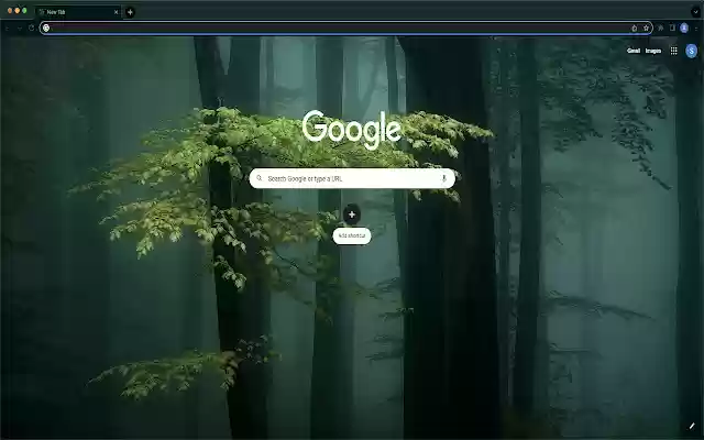 Forest Night Fog  from Chrome web store to be run with OffiDocs Chromium online