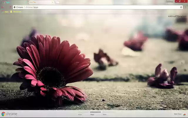 Goodly Flower  from Chrome web store to be run with OffiDocs Chromium online