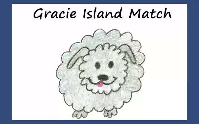 GracieIslandMatch  from Chrome web store to be run with OffiDocs Chromium online