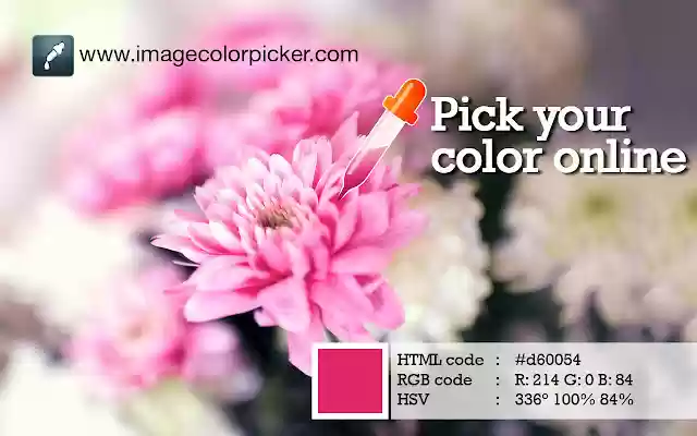 Image Color Picker Pick your color online  from Chrome web store to be run with OffiDocs Chromium online