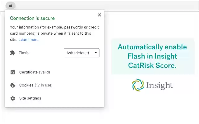 Insight Flash Enabler  from Chrome web store to be run with OffiDocs Chromium online